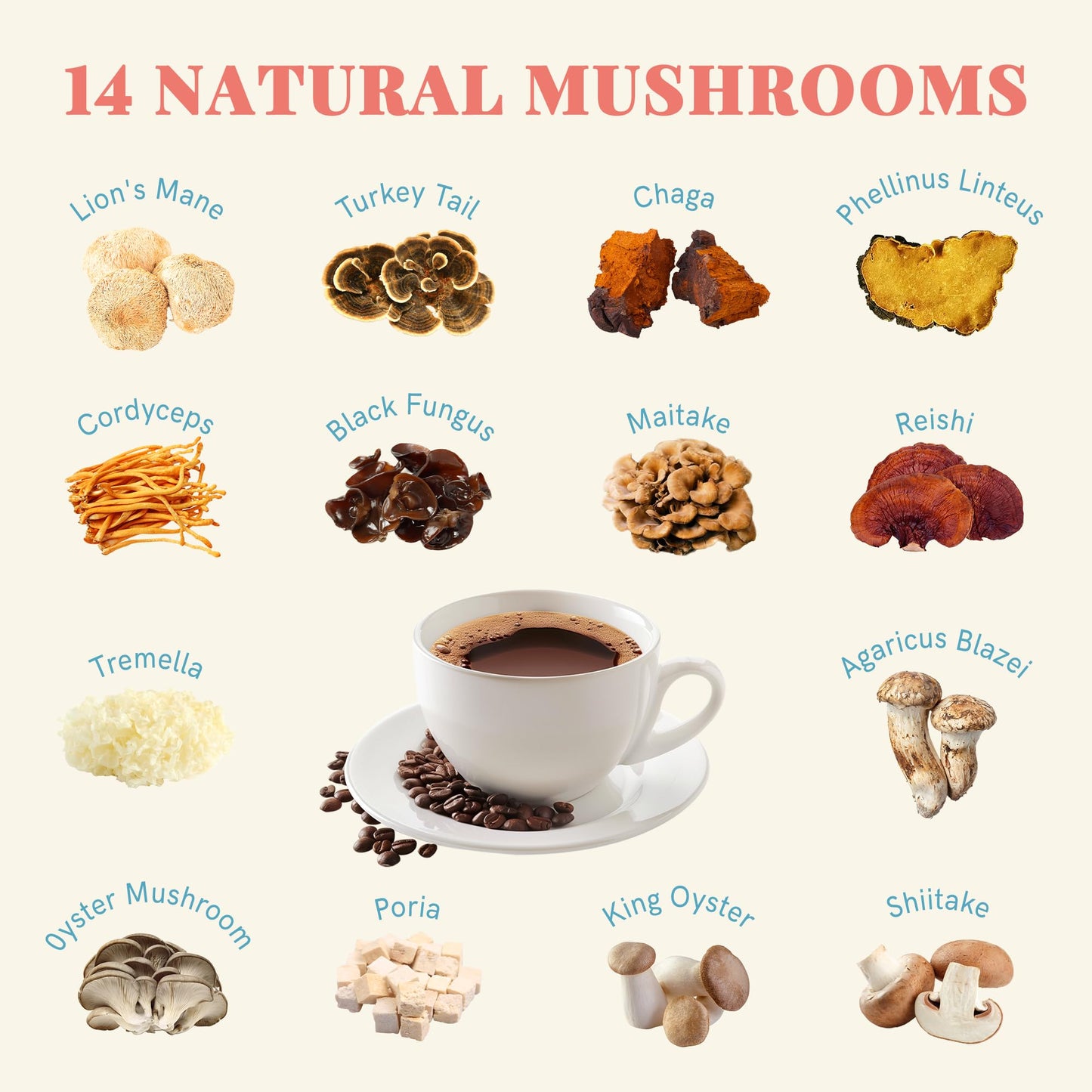 Decaf Mushroom Coffee, Instant Coffee Mix, 80 Servings | Sugar-Free, Decaffeinated Coffee Powder Blend | 14 Mushroom Extract for