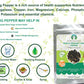 Whole Organic Long Pepper Best Organic Indian Long Pepper Pippali 100 Gm Pack