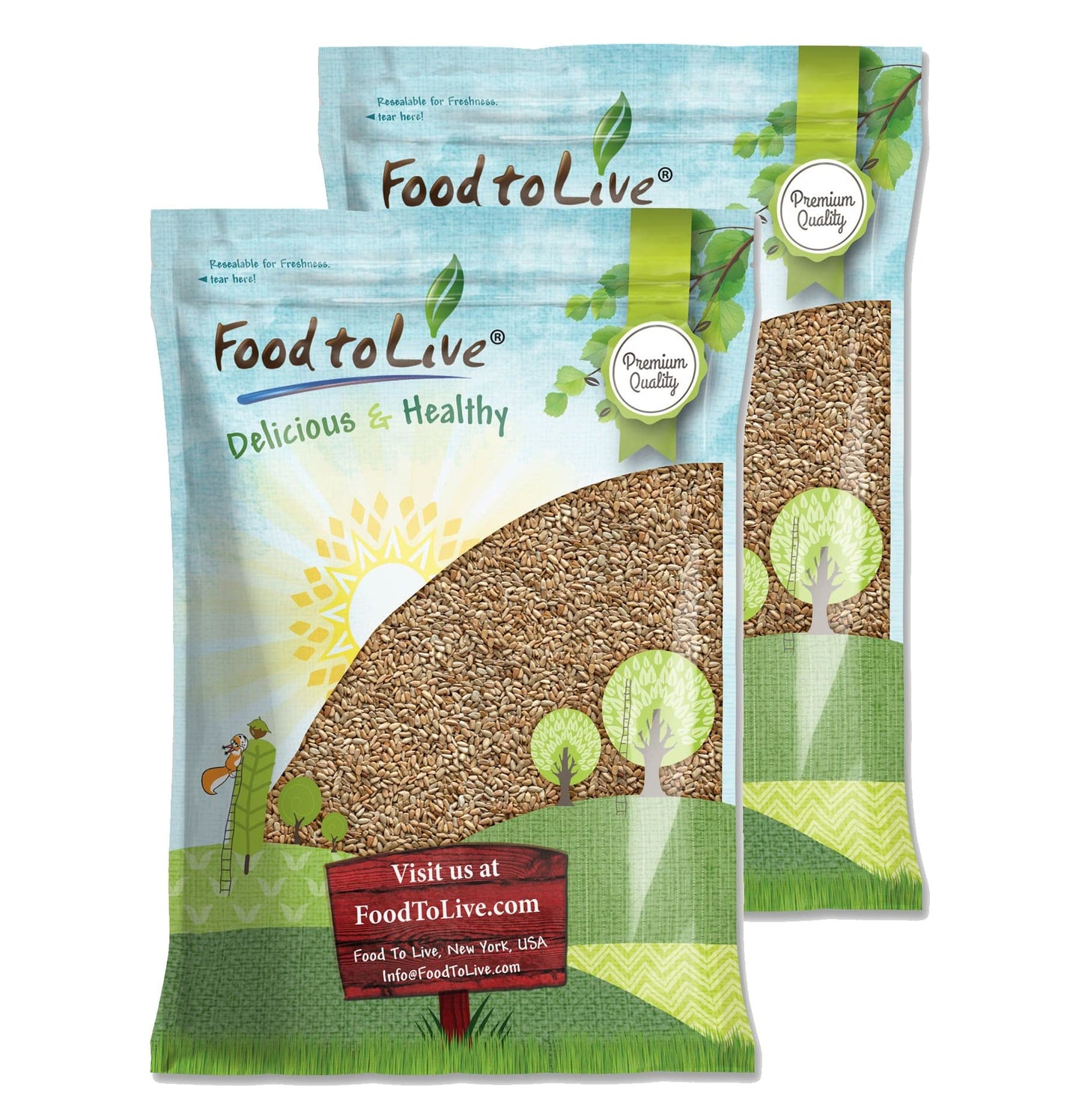 Food to Live Dry Roasted Sunflower Seed Kernels, Oven Roasted, 16 Pounds, Unsalted, Vegan, Kosher, Keto, Natural Flavor