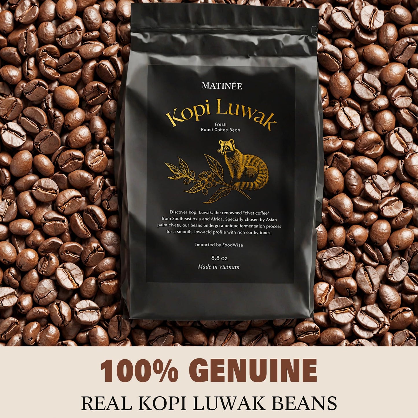 Matin  E Wild Kopi Luwak Coffee Beans, Medium Roast, Whole Bean Beans, Civet Coffee - Sustainably Sourced From Vietnam, 8.8Oz /