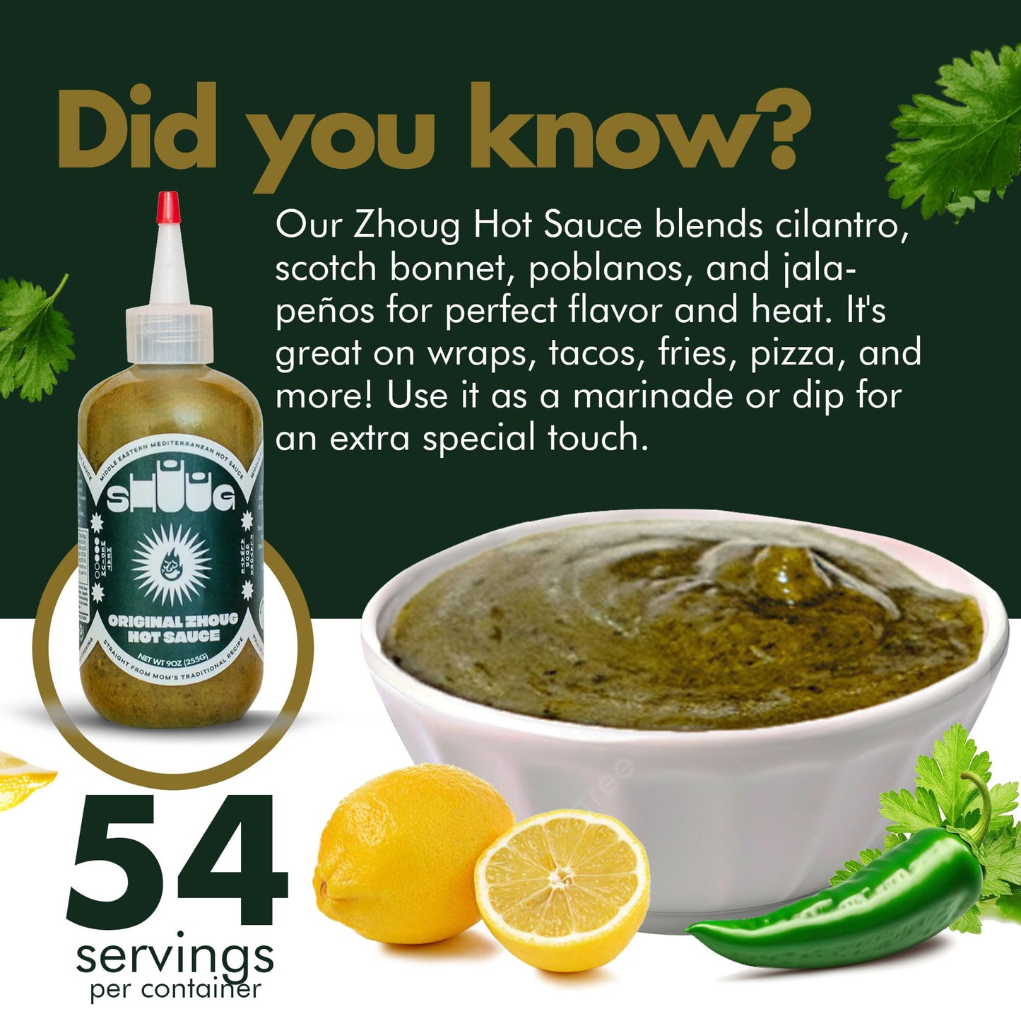 Middle Eastern Green Hot Sauce 9oz (Zhoug) | Organic Hot Sauce with Cilantro, Garlic, Jalapenos, Poblano, Scotch Bonnet Peppers,