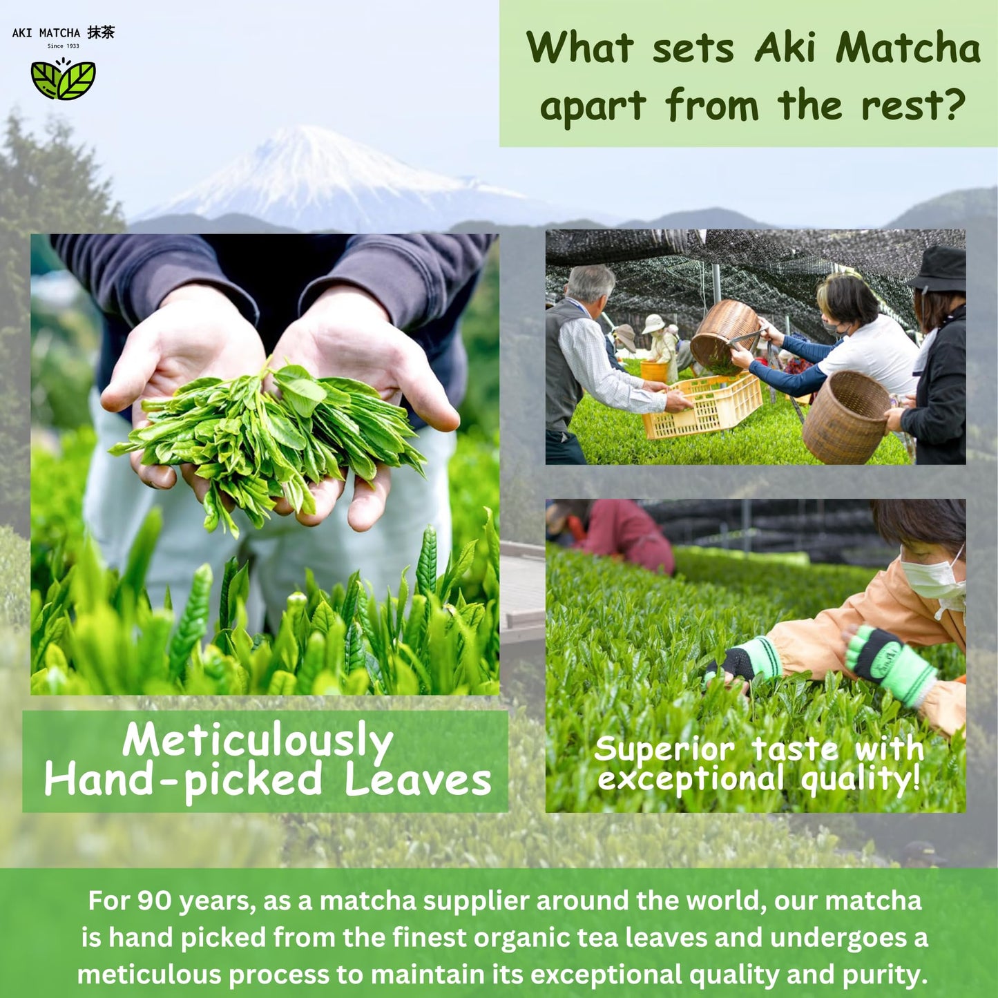 Aki Matcha 1933 - Ceremonial Grade Matcha | Japanese Pure Matcha Powder 100% | Single Origin - Shizuoka Japan | Saemidori Cultivar | First Harvest Hand Picked Matcha Stone Milled | Size 50G - 25Serv