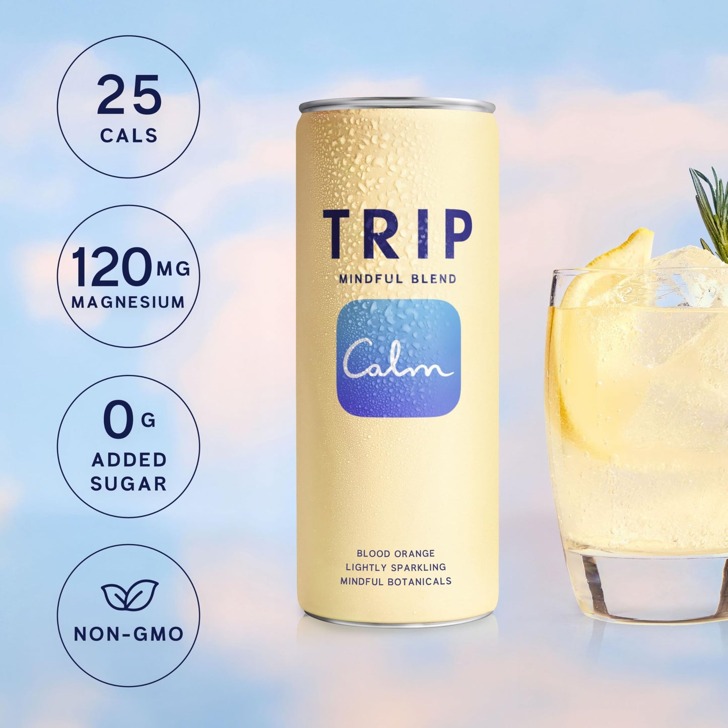 Trip Mindful Blend  Lightly Sparkling Calming Drink  120 MG Magnesium Citrate with Ashwagandha  Lions Mane & L Theanine  No Added Sugar  Low Calorie  Vegan  Blood Orange  12 Oz  12Pk