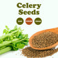 Food to Live Whole Celery Seeds, 1 Pound - Dried Spice, Vegan, Kosher, Bulk. Intense Flavor. Rich in Iron, Zinc, Fiber. Perfect