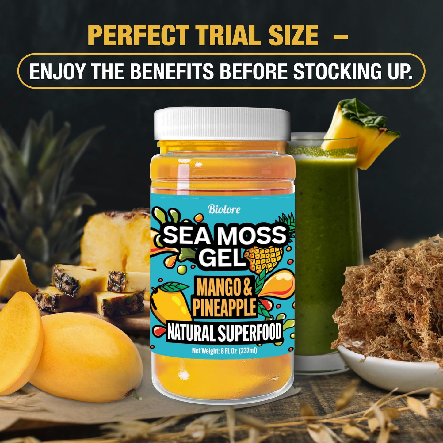 Biolore Sea Moss Gel Mango-Pineapple Made in USA Raw Wildcrafted Irish Seamoss Essential Vitamins Trace Minerals Vegan Superfood