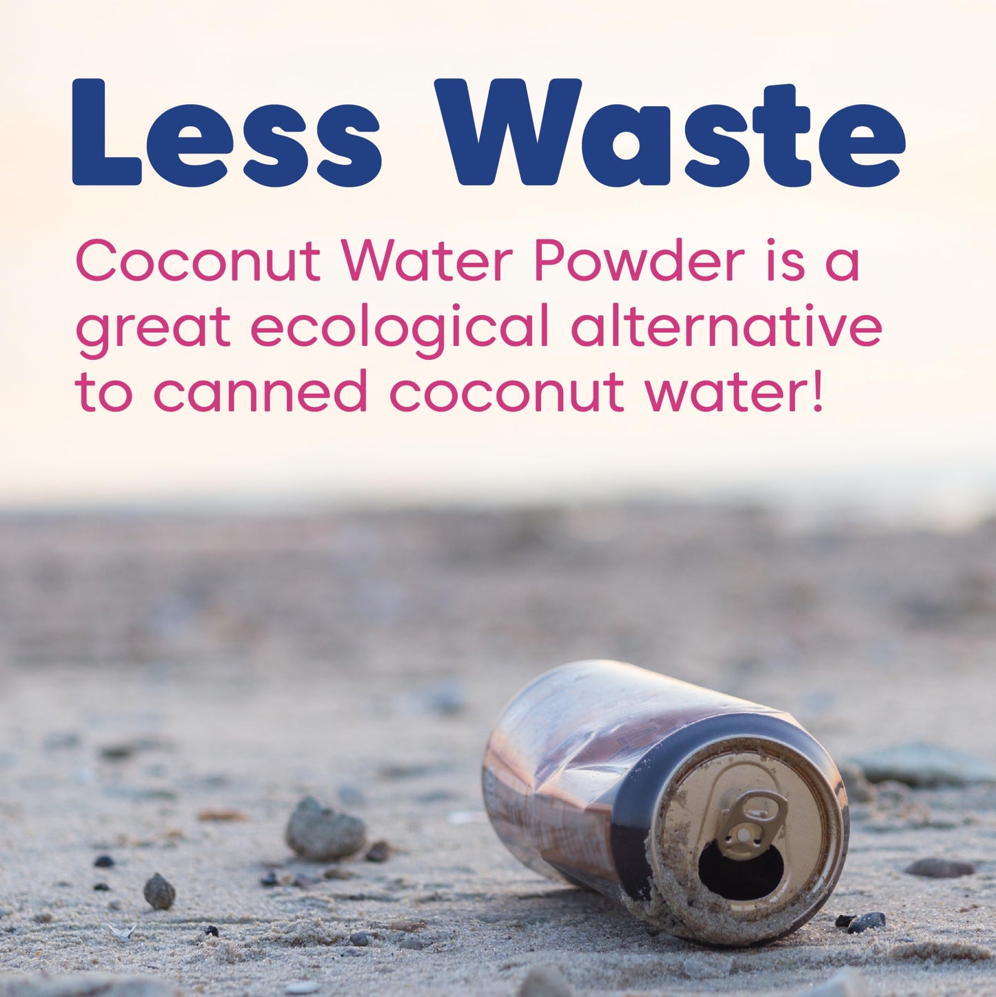 Wilderness Poets 100% Evaporated Coconut Water Powder Instant Mix, 32 Ounce (Pack of 10) - No Maltodextrin, No Fillers, No Additives