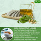 TOG999 Premium Eucalyptus Leaf Herbal Tea Bags, 100% Natural, 100 Bags, No Caffeine, Vegan