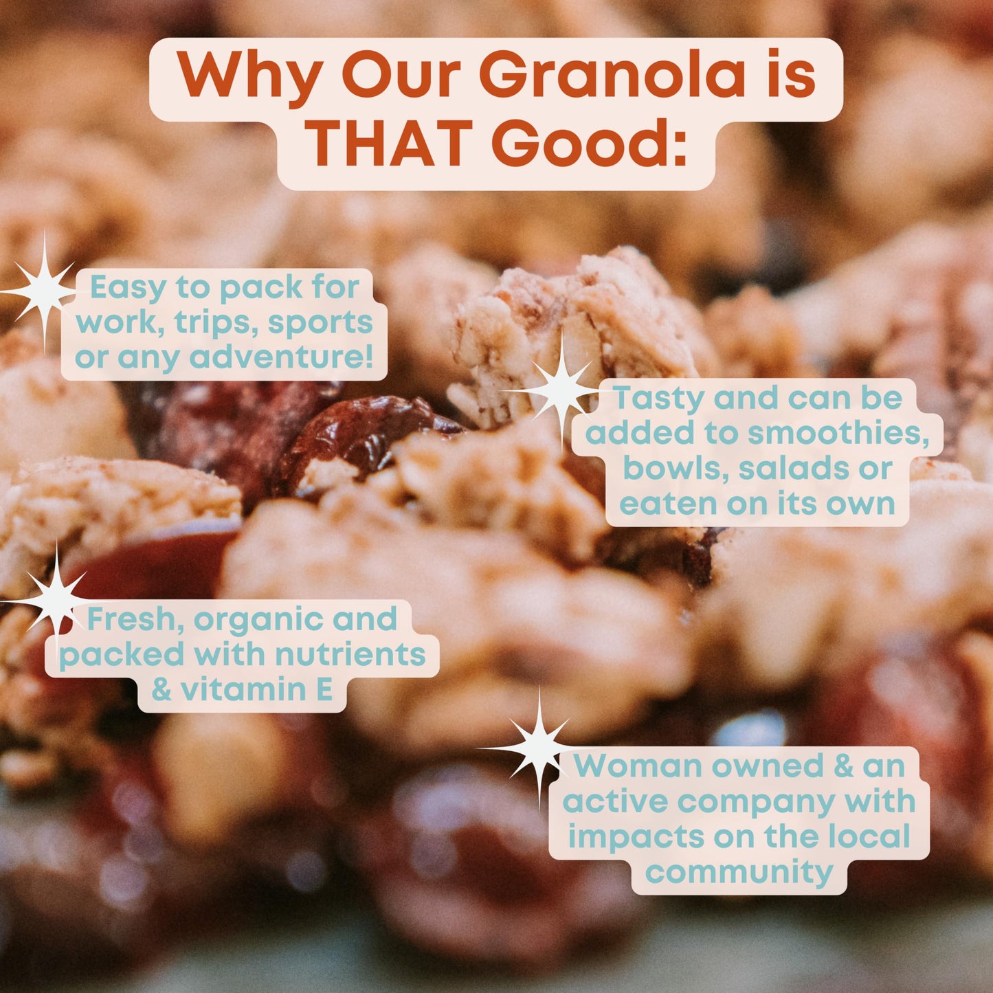 Tempo Granola Cranberry Pecan Almond Granola Clusters (6 Pack) Gluten Free Oats, High Protein, Low Sugar, Vegan, Dairy Free, Soy