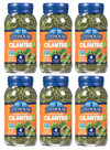 Litehouse Freeze Dried Cilantro - Organic Non-GMO Seasoning - 0.35 Ounce 6-Pack