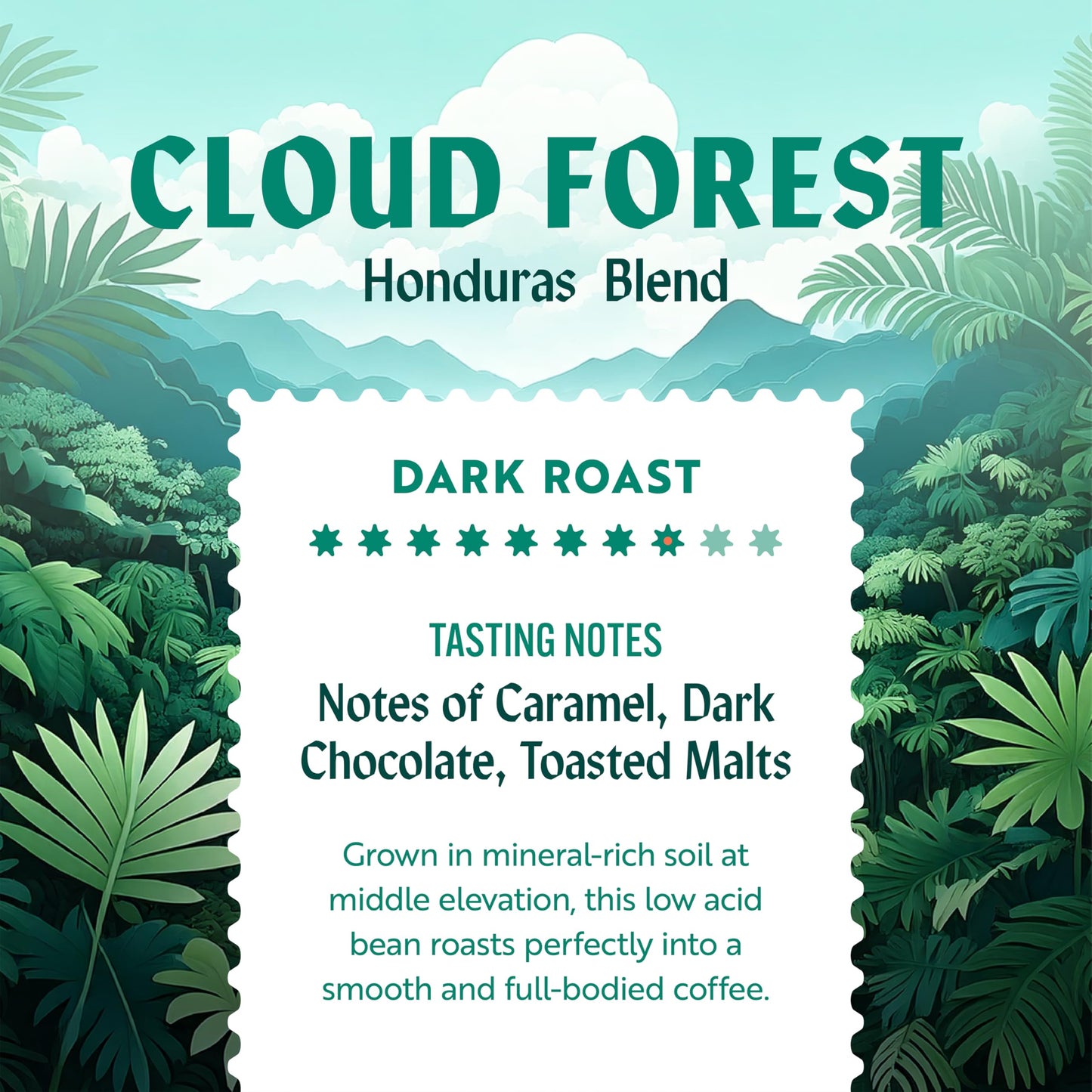 CLEAN COFFEE CO Low Acid Dark Roast Whole Bean Coffee, 12oz Bag, Honduran El Jaguar