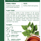 Traditional Medicinals Organic Nettle Leaf 16 Tea Bags (Pack Of 2)