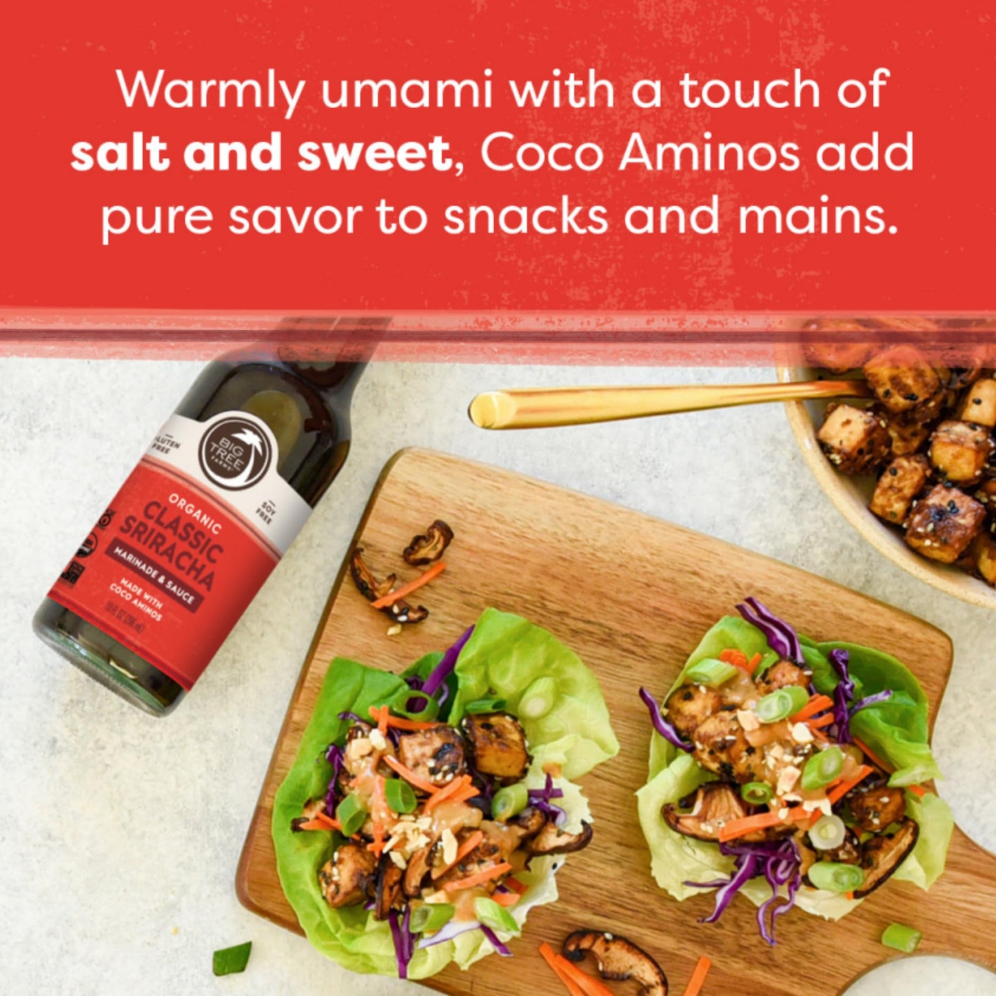 Big Tree Farms Organic Coco Aminos - Liquid Coconut Aminos, Soy-Free Sauce, Low Sodium, Soy Alternative, Gluten Free, Kosher, Marinade & Sauce, Non-Gmo - Classic Sriracha, 10 Fl Oz (Pack Of 1)