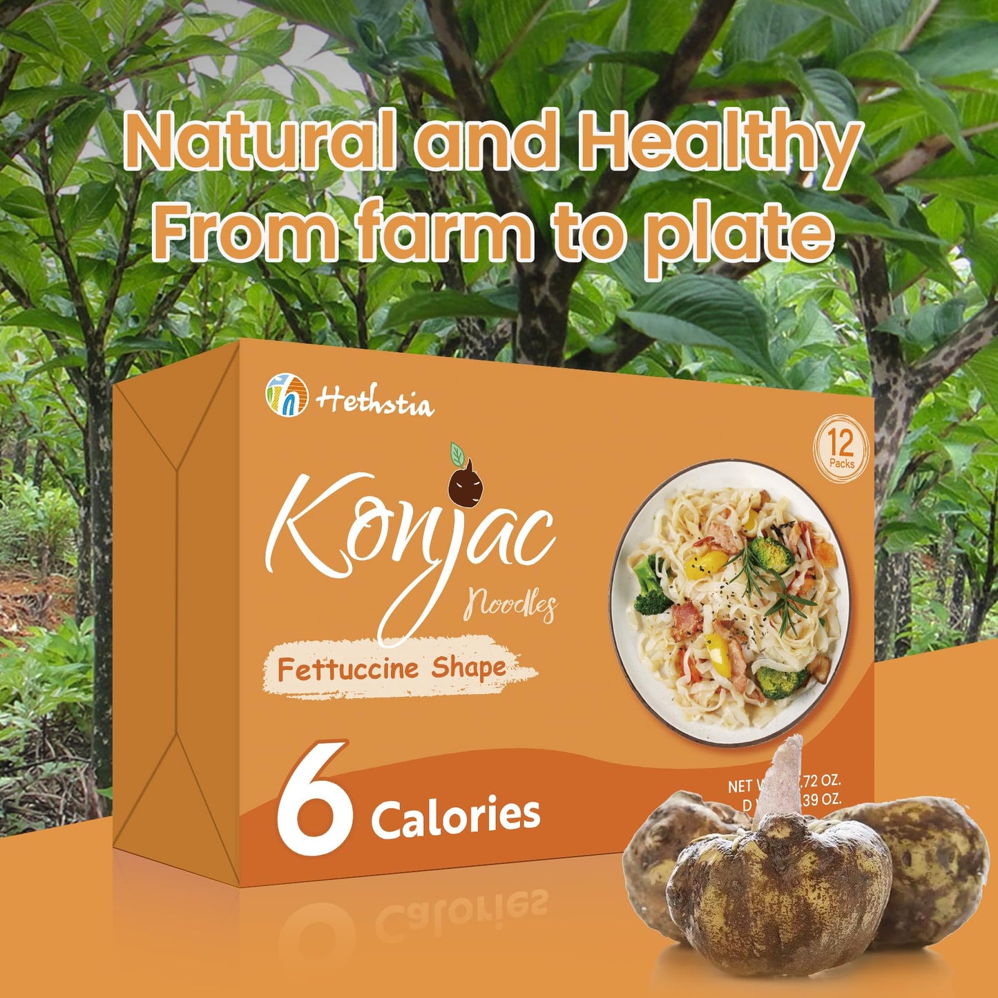 Hethstia Shirataki Noodle Pasta, Low-Carb, Gluten Free, Vegan, Keto, 12 Packs, 5.64 Ounce