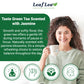LeafLea 80 Jasmine Green Tea Bags, Green Tea with Natural Jasmine Aroma, Light Focus & Daily Balance, Delicate Floral and Smooth
