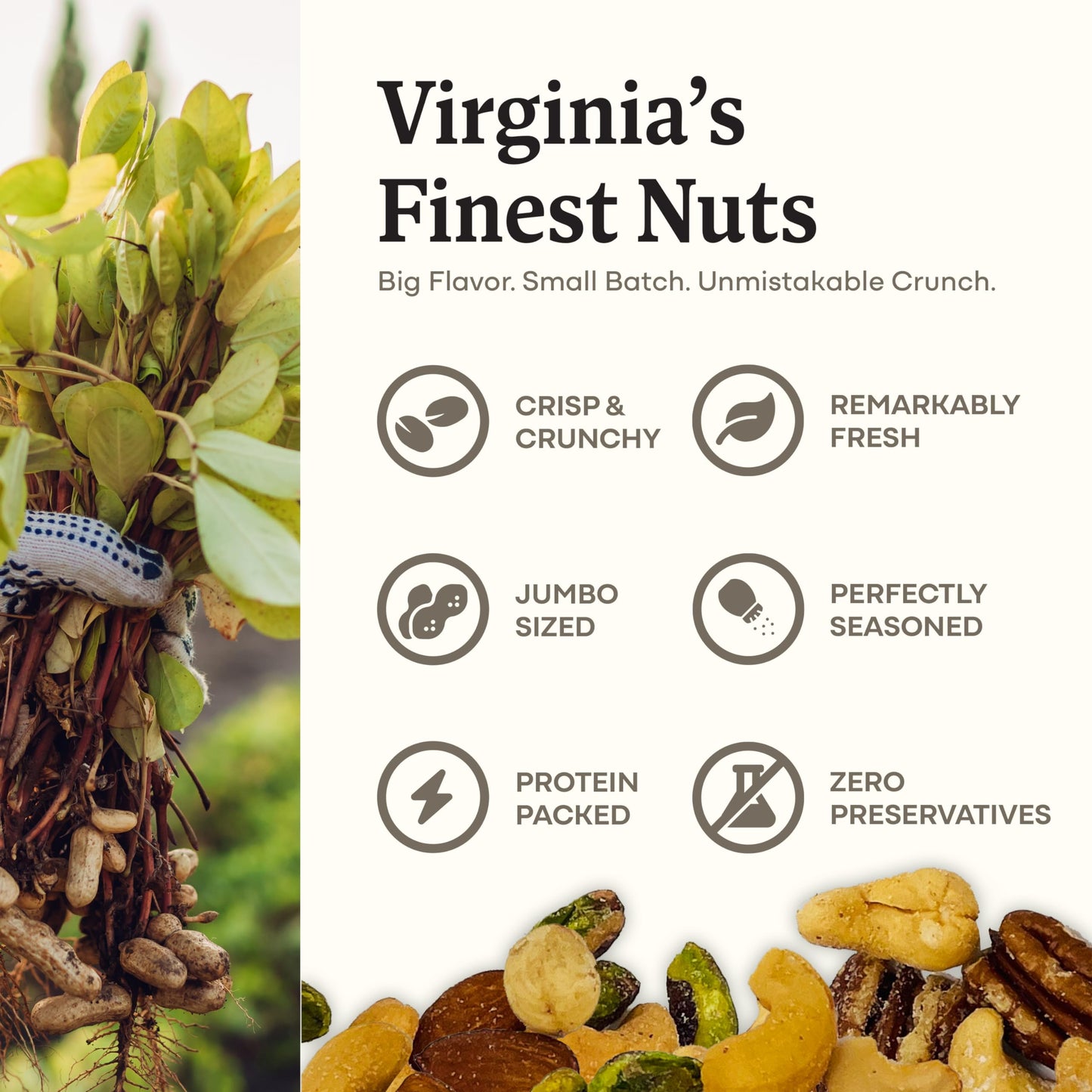 Belmont Peanuts Gourmet Sea-Salted Mixed Nuts, 18 oz – Cashews, Almonds, Pecans, Filberts, Pistachios, No Preservatives