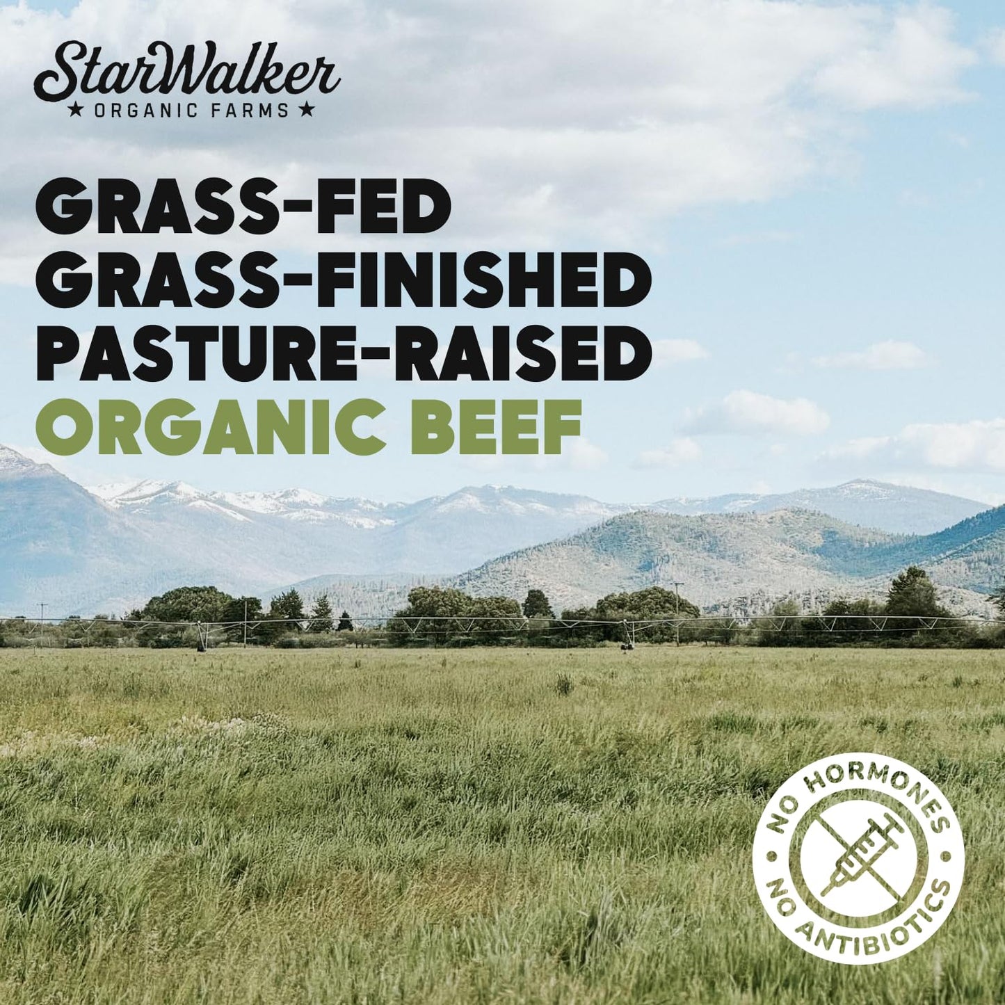 StarWalker Organic Farms Simply Salt and Pepper Beef Jerky - Organic, Regenerative Organic Certified, 42g Protein, No Nitrates,