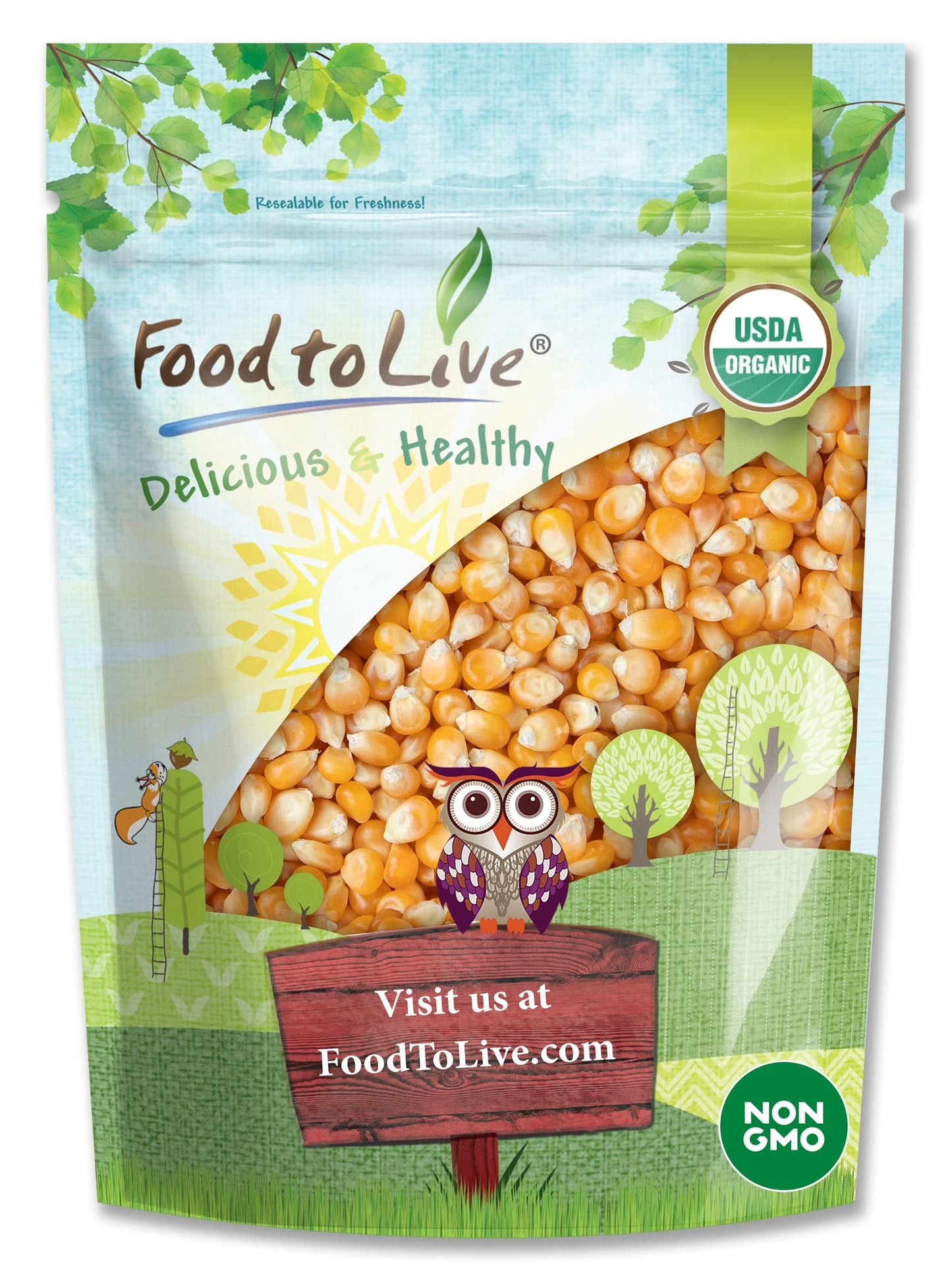 Food to Live Organic Yellow Popcorn – Non-GMO, 100% Whole Grain, 48 Ounce, Easy to Make, High Fiber Snack