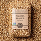 India Tree Paloma Blanca PopCorn, 1 Pound