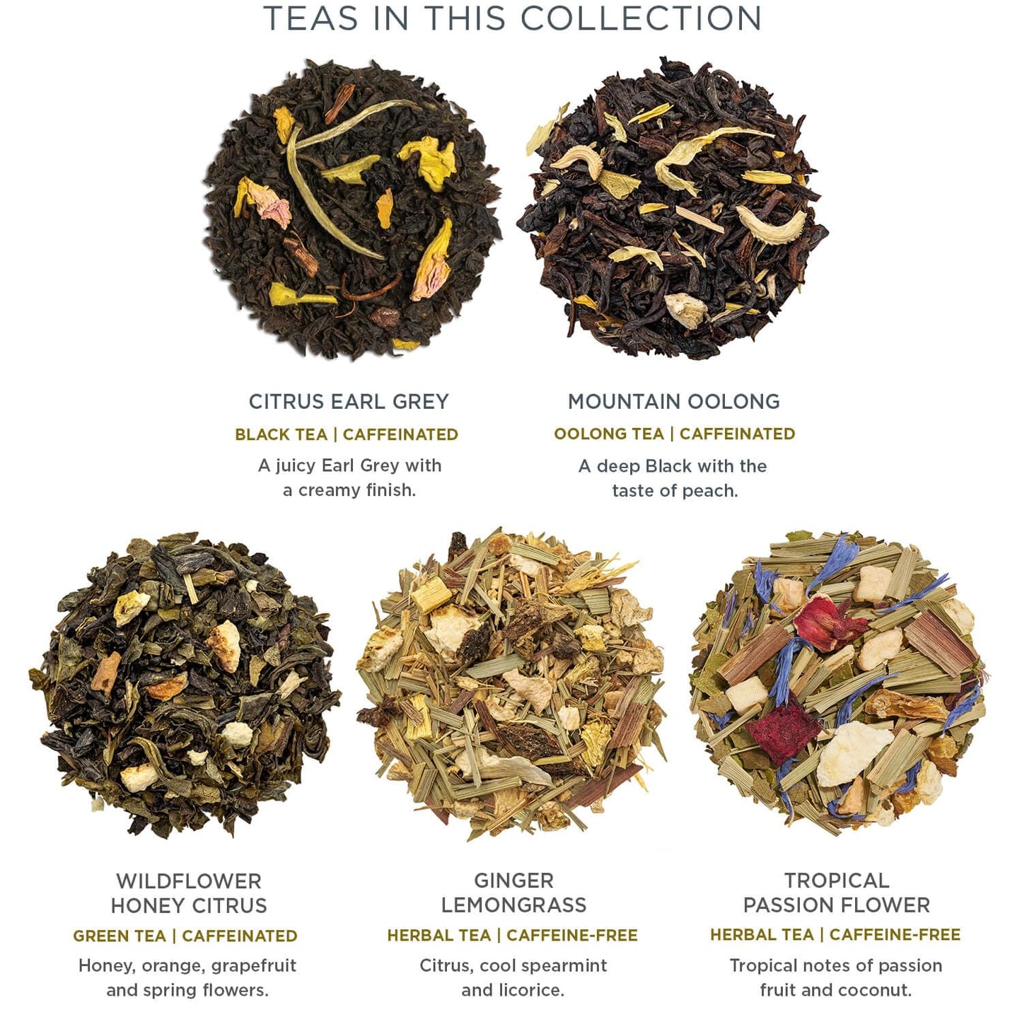 Tea Forte Petite Presentation Box Tea Gift Set, 10 Count, Assorted Varieties, Individually Wrapped Pyramid Infuser Bags