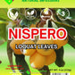 Te Hojas De N  Spero (Loquat Leaves Tea) - 4Oz (113G) - 100% Natural, Wildcrafted, Non-Gmo, Gluten-Free, Vegan