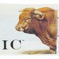 Epic Provisions Beef Sea Salt & Pepper Bar 1.3 Oz
