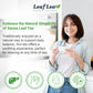 LeafLea Senna Tea Bags - Herbal Laxative Tea, Caffeine-Free, Sugar-Free, Vegan - 40 Bags (Pack of 1)