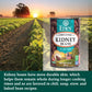 Eden Organic Red Kidney Beans, 15 Oz Can, No Salt Added, Non-Gmo, U.S. Grown, Heat And Serve, Macrobiotic, Red Beans (12-Pack)