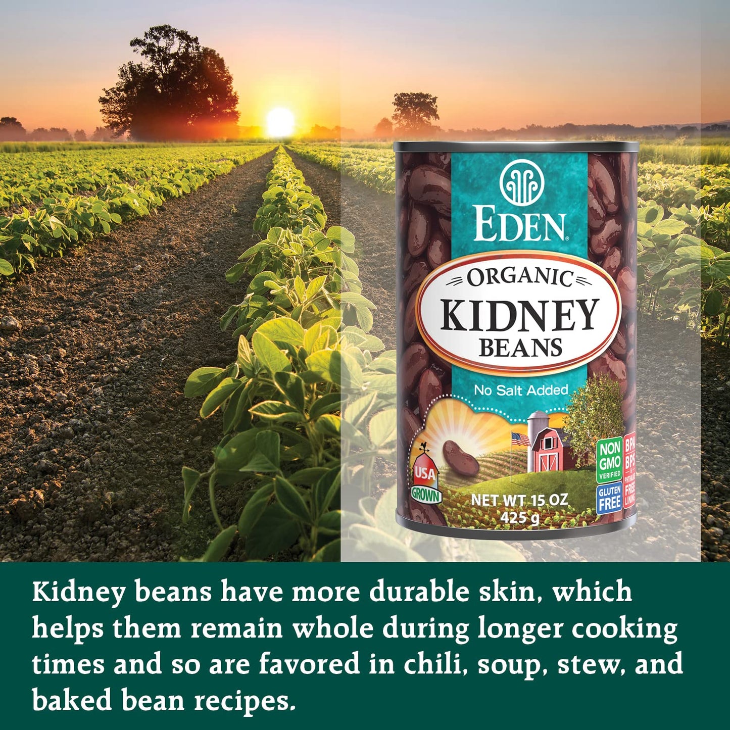 Eden Organic Red Kidney Beans, 15 Oz Can, No Salt Added, Non-Gmo, U.S. Grown, Heat And Serve, Macrobiotic, Red Beans (12-Pack)