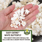 Princeton Popcorn Hulless White Butterfly Popcorn Kernels, Non-GMO, 128 Ounce Bag