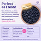 Certified USDA - 100% Organic Dried Elderberries - 1lb Bulk - Non-Irradiated  Non-Gmo  Whole Black Elderberry Immune Support For Making Elder Syrup  Gummies  Tea - Raw Vegan Sambucus 1 Pound