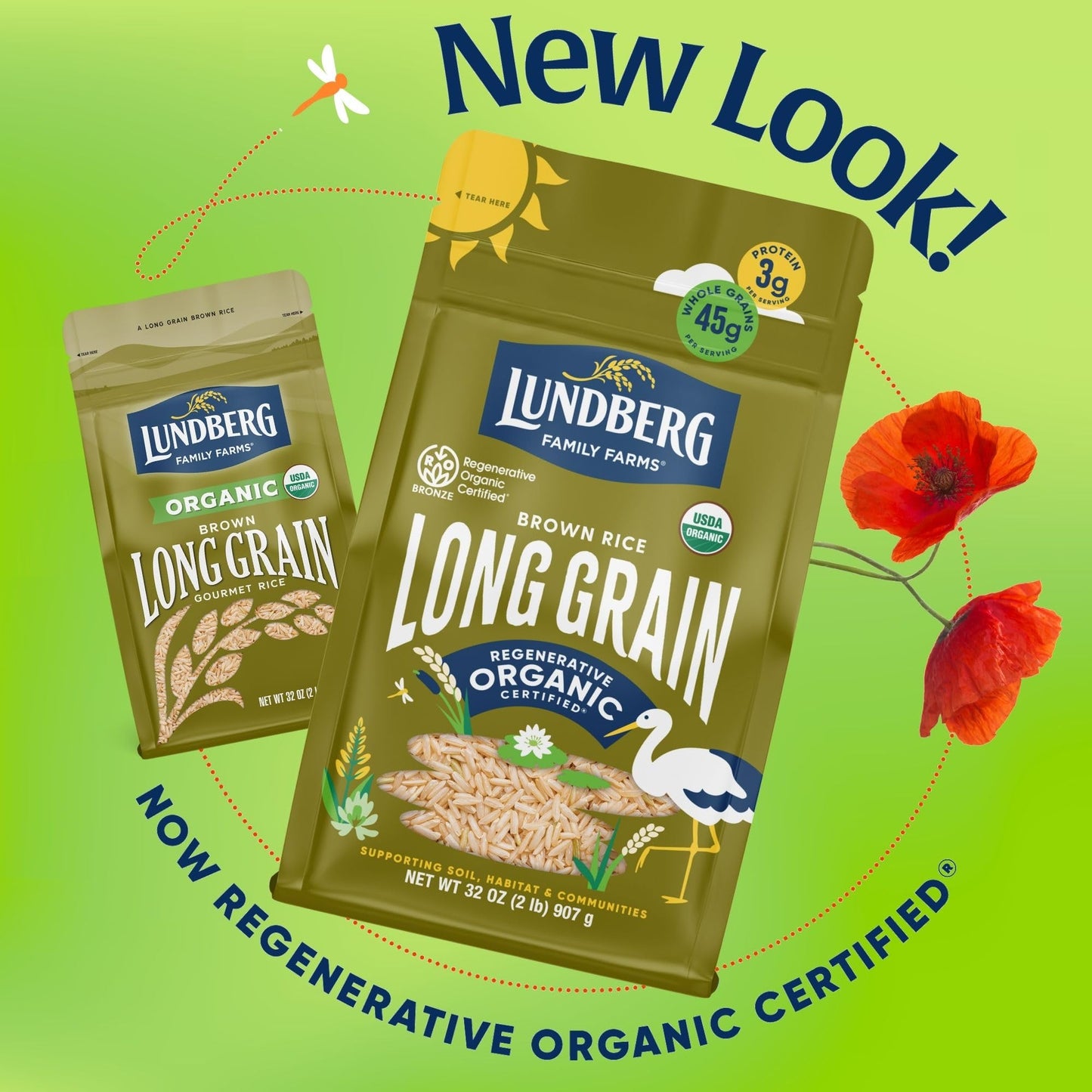Lundberg Family Farms Organic Long Grain Rice Brown 32 Ounce