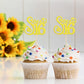 Gyufise 24 Pack Cupcake Toppers, Glitter Sixteen Happy Sweet 16 Decorations, Multi Gold, Model ZN0475-4-LG