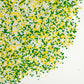 Edible Easter Nonpareils Sprinkles, Food Grade, 800G, Cupcake Decorations & Cake Topper, Donut, Ice Cream, Wedding Party Valenti