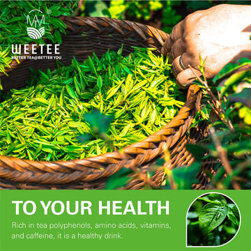 Wt Weetee Organic Green Tea Bags, Usda Organic Pure Green Tea 100 Count, Super Antioxidant | Resealable Kraft Bag | Brew Hot Or