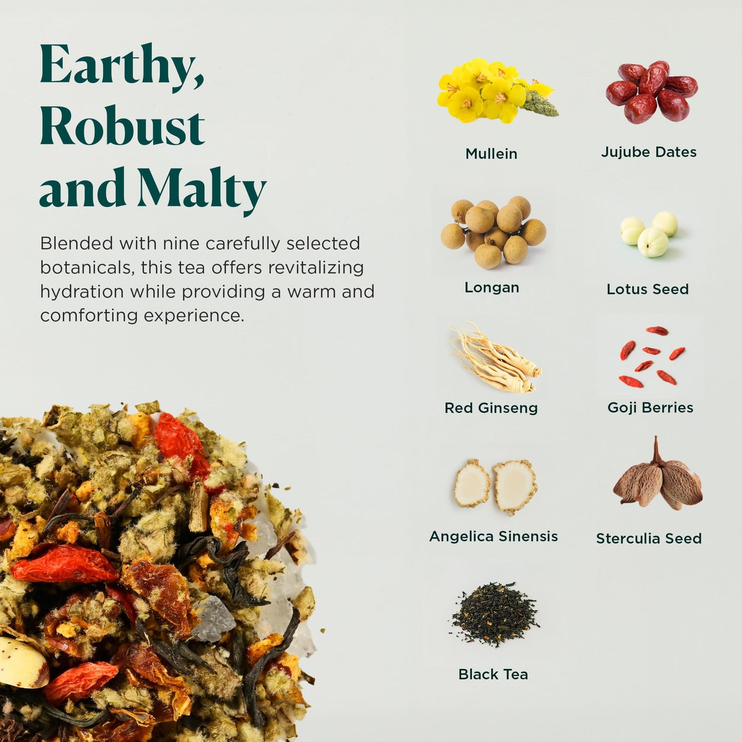 Tea Facto Lung Shield* Mullein Tea Bags - Whole Leaves Mullein Leaf Tea With 8 Herbs - 50 Bulk Packs