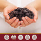 Traina Home Grown California Sun Dried Bing Cherries - Healthy & Non-Gmo, Natural Sweet Flavor Fruit No Sugar Added, Perfect Sna