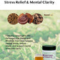 Mentalfuel Adaptogen Kombucha Instant Powder - 40 Servings Sparkling Fermented Kombucha Drink With Adaptogen Blends, Energy, Foc