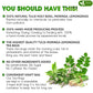 FRESHDRINKUS Premium Tulsi Moringa Lemongrass Tea, 100% Natural, Vegan, 75 Tea Bags