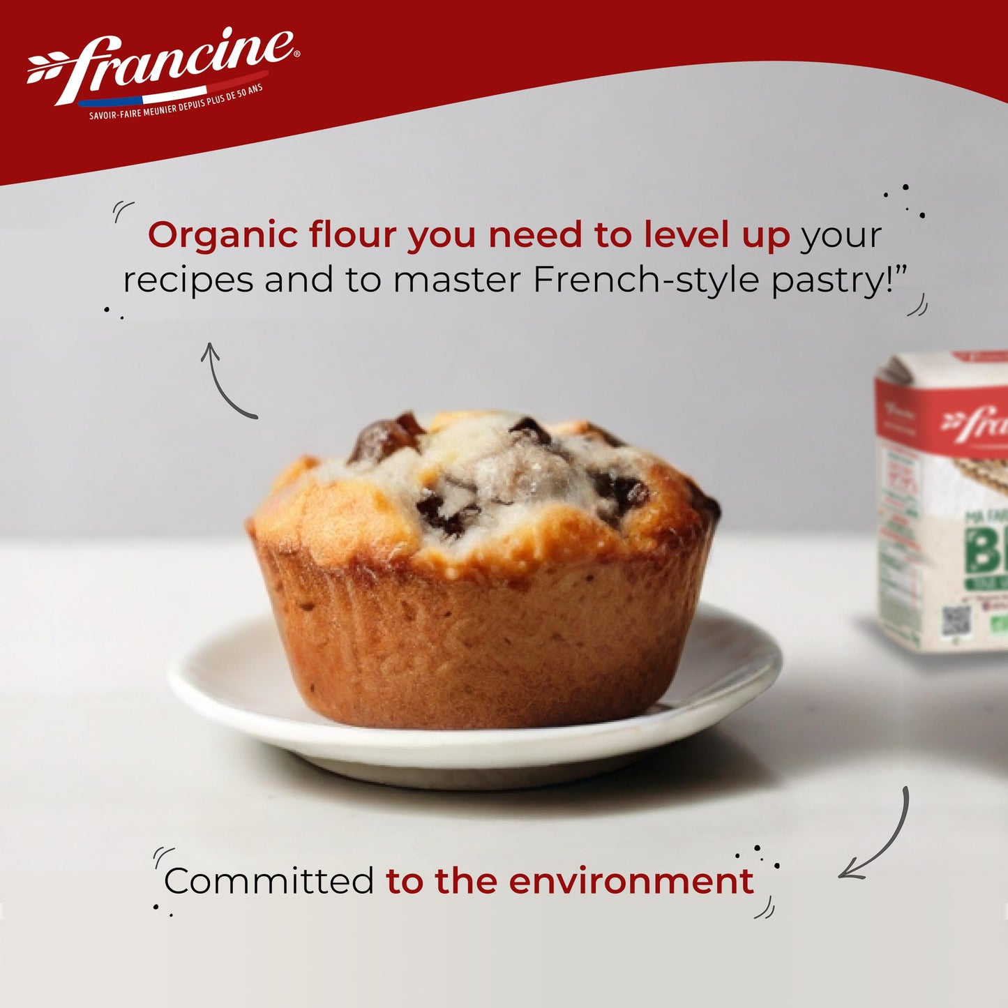 Francine Organic All-Purpose Wheat Flour - 2.2 lbs (Pack of 2) - French Gluten-Free Baking Essential