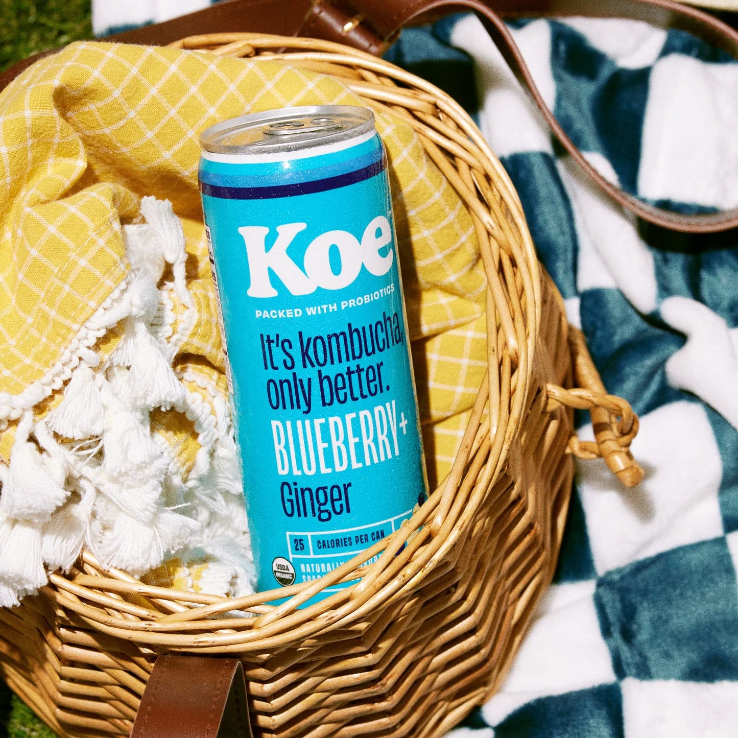 Og2 Koe Blubry Gngr Kmbh ( 12 X 12 Oz   )