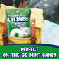 Mint Candy  2 Pounds Candy - Holiday Individually Wrapped - Hard Mints Melts  Bulk Bag for Every Occasion - Holiday