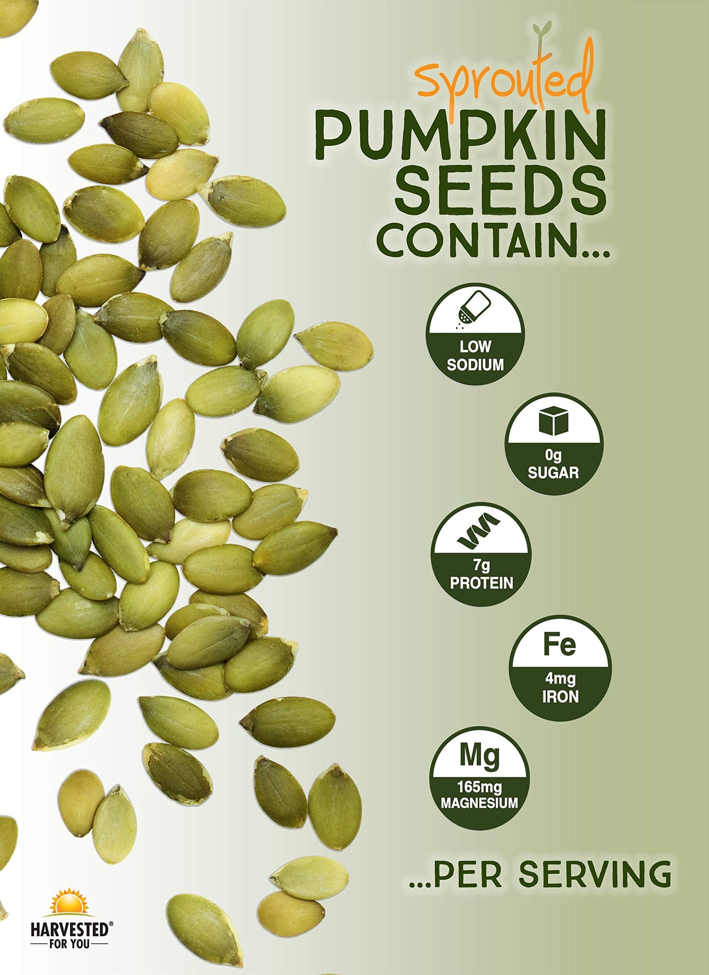 Harvested For You Sea Salted Sprouted Pumpkin Seeds, 22Oz Bag, Non Gmo, Paleo, Gluten Free, Vegan, Organic, Plant Based, Keto