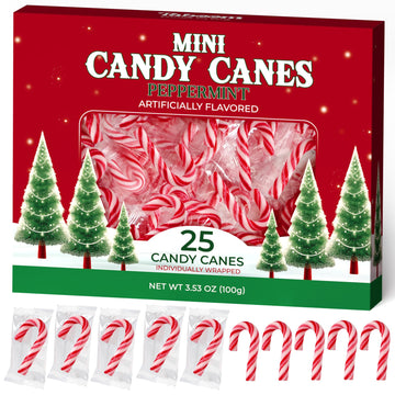 Taboom Mini Candy Cane 25 Pack - Red & White Peppermint Candy Canes for Holiday Gifts, Stocking Fillers & Party Favors