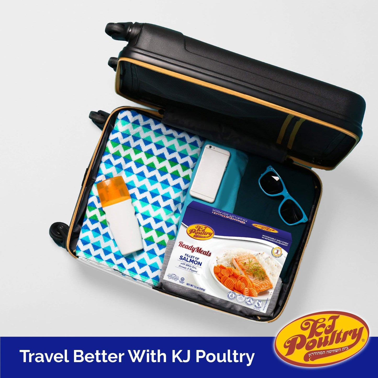 KJ Poultry Kosher Ready Meals - Salmon Fillet Fish, Parve MRE Meal Ready to Eat, Protein Food, Halal, (1 Pack) Prepared Entree F