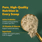 Purely Inspired Organic Green Powder Smoothie Mix, Tropical Mango Iced Tea Flavor (30 Servings) - Probiotics For Digestive Healt