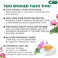 FRESHDRINKUS Lotus Leaf Tea Bags, 100% Natural, 135 Count, Eco-Conscious, No Sugar, No Caffeine, Vegan