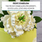 Cake Flowers - Gumpaste Flower For Cakes - White Bloom Peony Decoration For Cakes - Handmade - 3 Count - By Global Sugar Art And