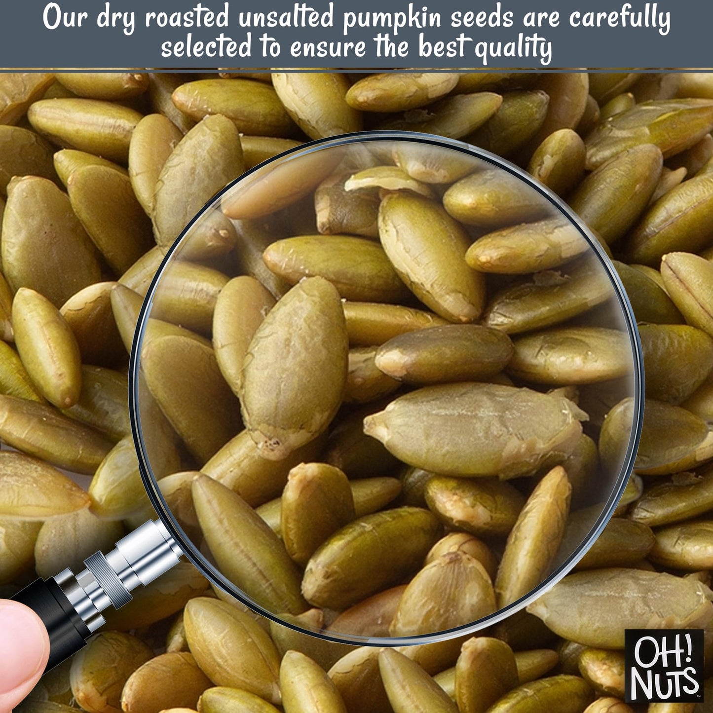 Oh! Nuts Pumpkin Seeds, Dry Roasted Unsalted, 2 lb, All-Natural Protein, Pepitas, Zip-Seal Bag for Freshness