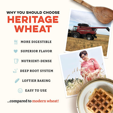 Sunrise Flour Mill 7-Grain Heritage Pancake Mix, Organic, 5 lbs, Zero Additives, Fluffy Waffles, Easier to Digest