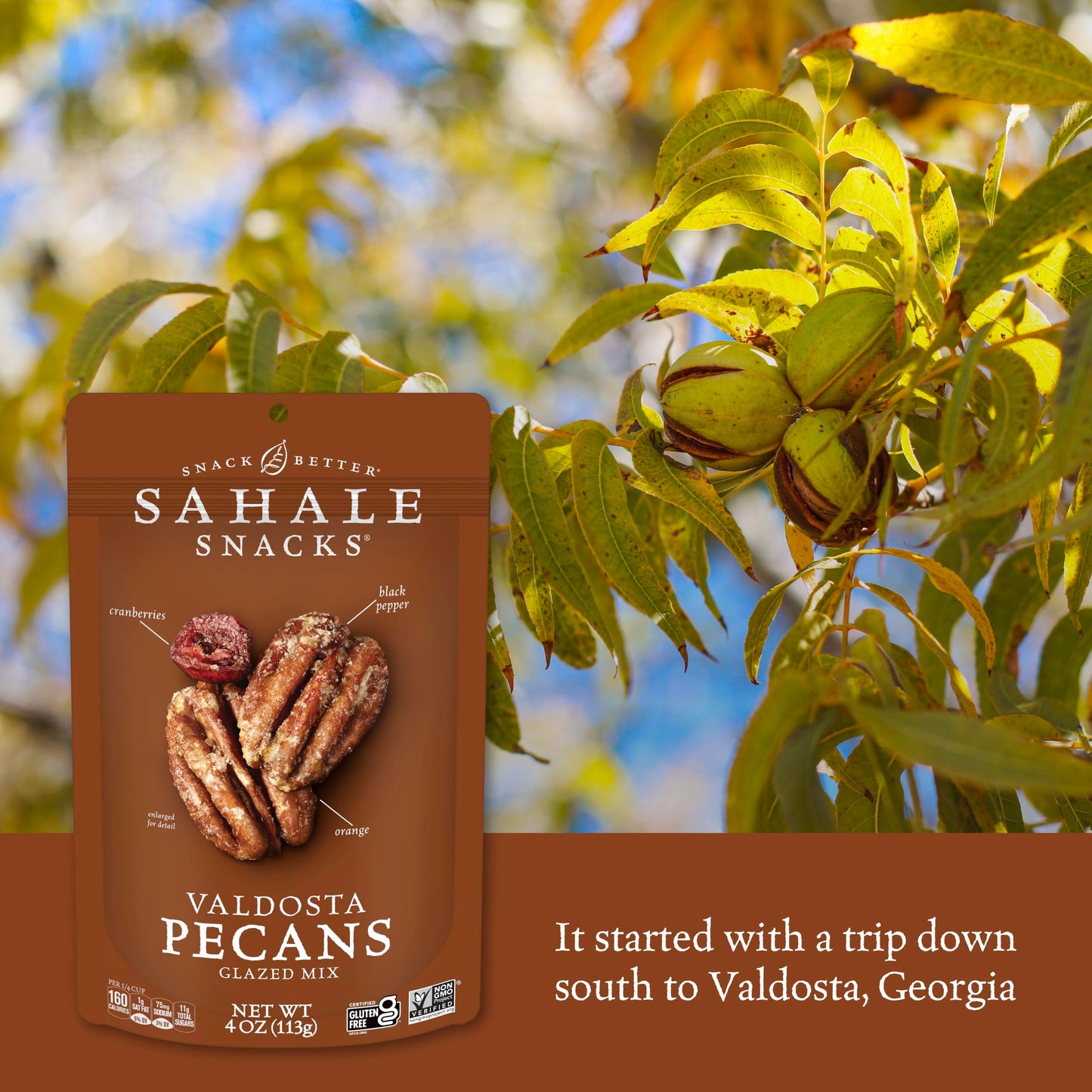 Sahale Snacks Valdosta Pecans Glazed Mix, 4 Ounce (Pack of 6), Plastic, No Color, Model 893869000560